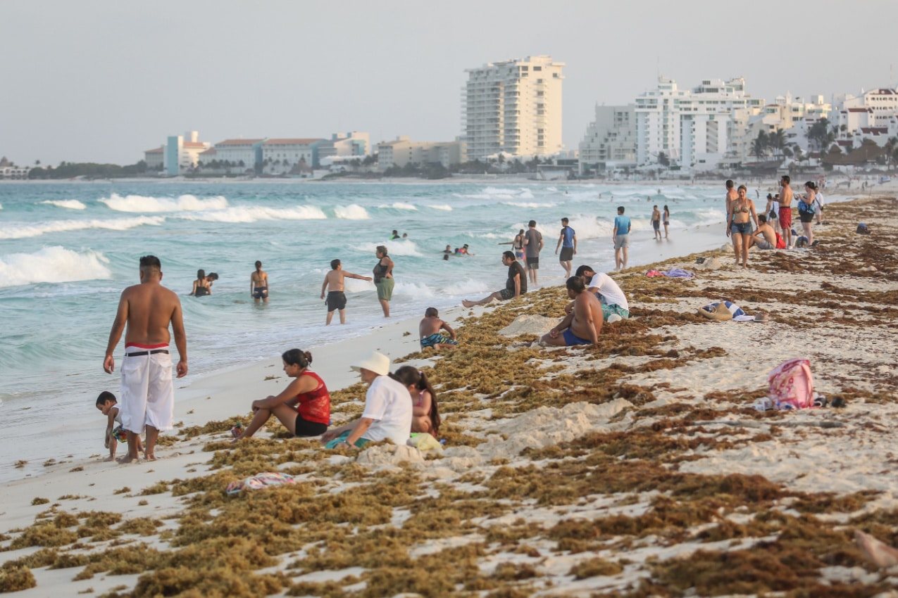 Cancun During Seaweed Season